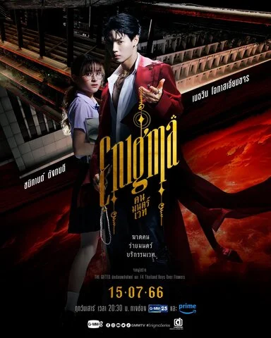 Энигма - постер сериала